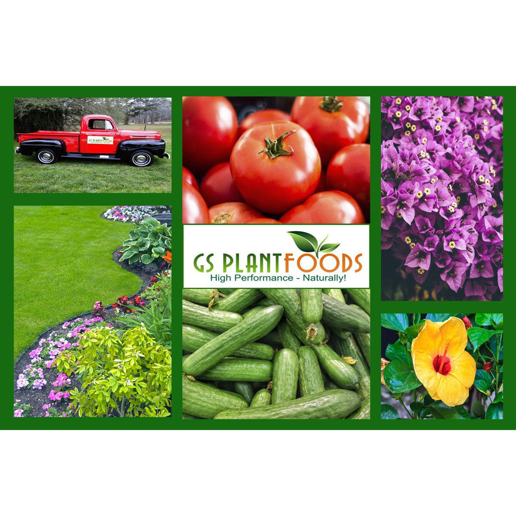 Grower's Honey Plant Based Amino Acid
